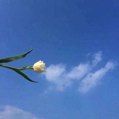 虹色live最新版下载